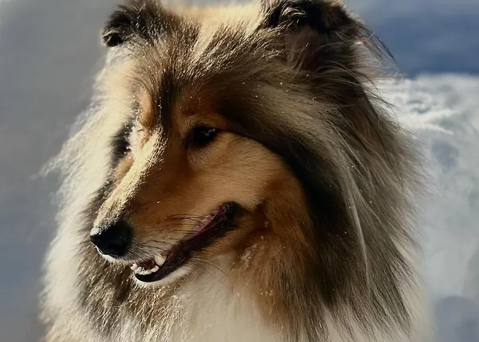 Apartment Nord-garthus Gard 1 *